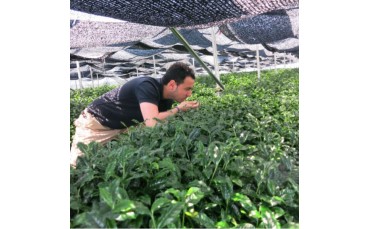 OMACCHAYA, FRENCH MAKERS OF ARTISANAL JAPANESE TEAS