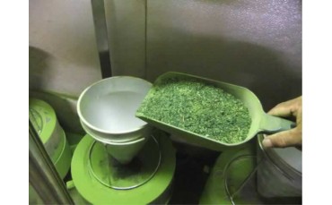 MATCHA, THE SUPERFOOD